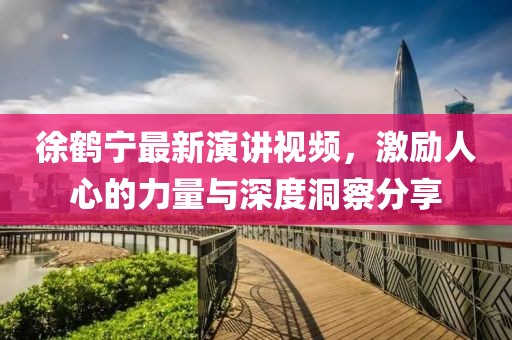 徐鹤宁最新演讲视频，激励人心的力量与深度洞察分享