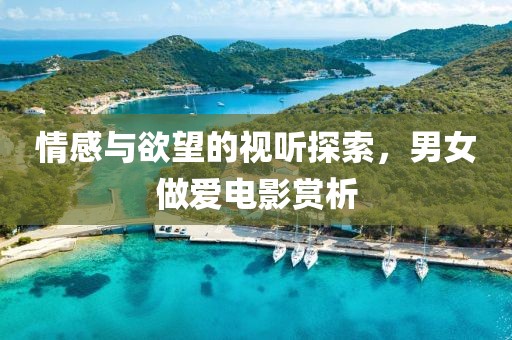 情感与欲望的视听探索，男女做爱电影赏析