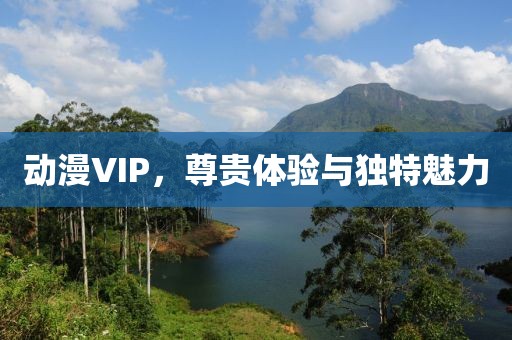 动漫VIP，尊贵体验与独特魅力