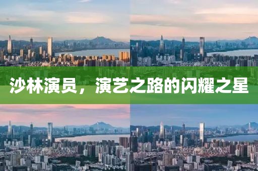 沙林演员，演艺之路的闪耀之星
