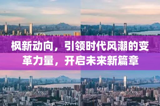 枫新动向，引领时代风潮的变革力量，开启未来新篇章