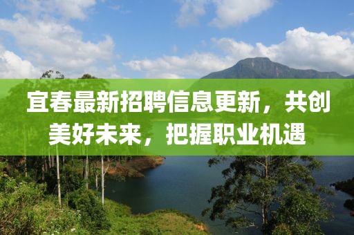 宜春最新招聘信息更新，共创美好未来，把握职业机遇
