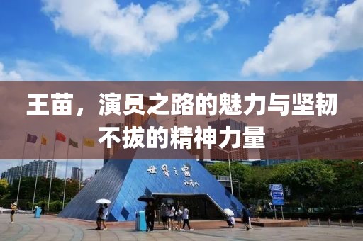 王苗，演员之路的魅力与坚韧不拔的精神力量