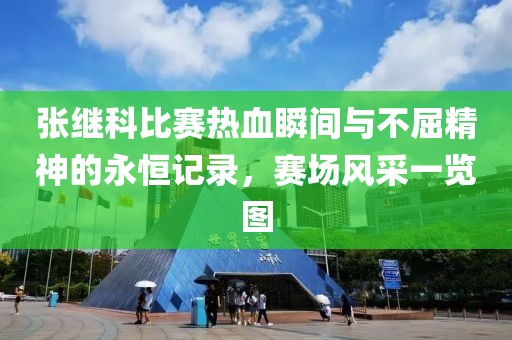 张继科比赛热血瞬间与不屈精神的永恒记录，赛场风采一览图
