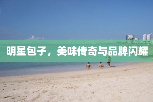 明星包子，美味传奇与品牌闪耀