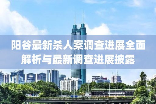 阳谷最新杀人案调查进展全面解析与最新调查进展披露