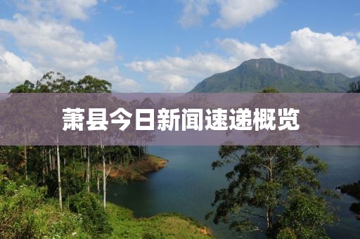 萧县今日新闻速递概览