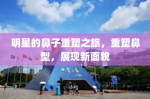 明星的鼻子重塑之旅，重塑鼻型，展现新面貌