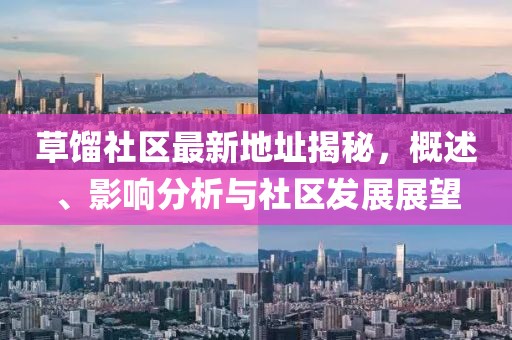 草馏社区最新地址揭秘，概述、影响分析与社区发展展望