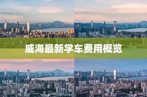 威海最新学车费用概览