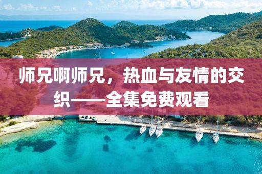 师兄啊师兄，热血与友情的交织——全集免费观看