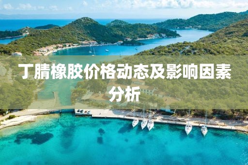 丁腈橡胶价格动态及影响因素分析