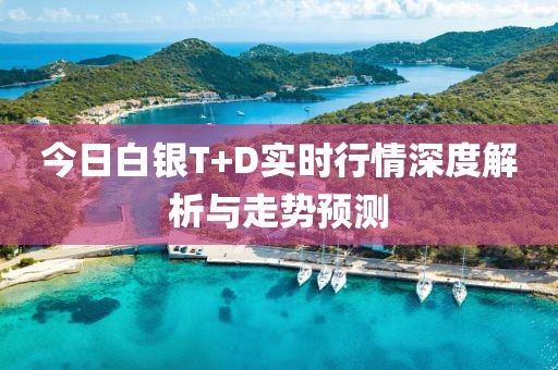 今日白银T+D实时行情深度解析与走势预测