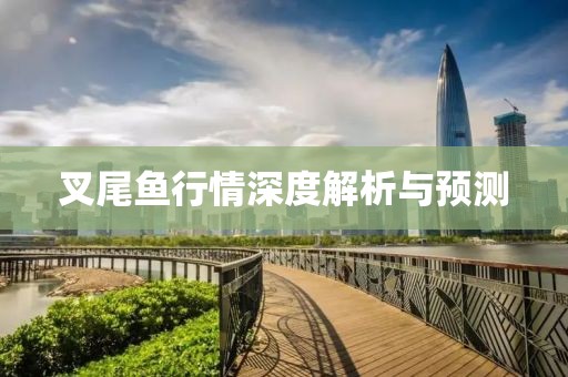 叉尾鱼行情深度解析与预测