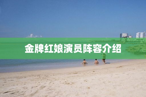 金牌红娘演员阵容介绍