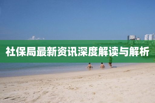 社保局最新资讯深度解读与解析