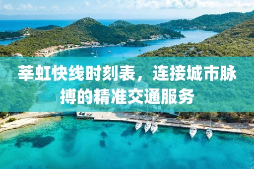 莘虹快线时刻表，连接城市脉搏的精准交通服务