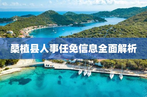 桑植县人事任免信息全面解析