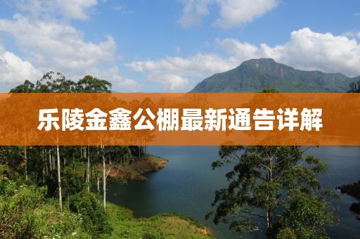 乐陵金鑫公棚最新通告详解