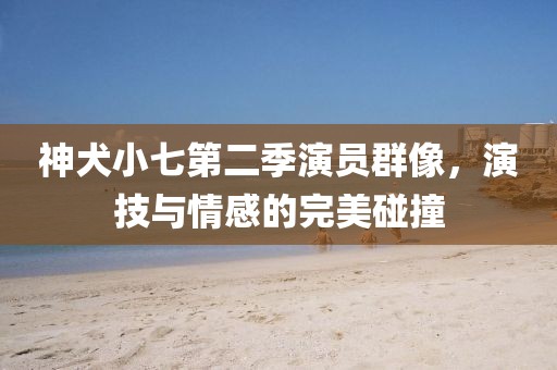 神犬小七第二季演员群像，演技与情感的完美碰撞