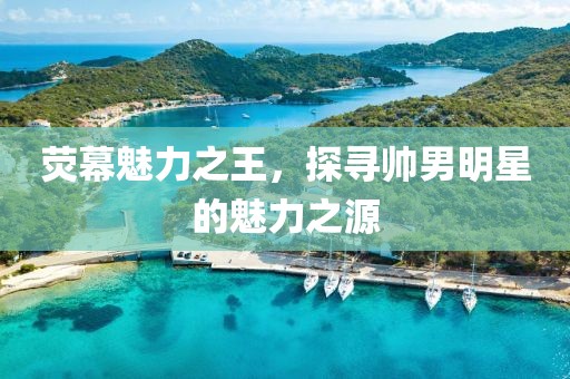 荧幕魅力之王，探寻帅男明星的魅力之源