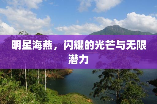 明星海燕，闪耀的光芒与无限潜力