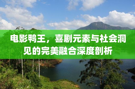 电影鸭王，喜剧元素与社会洞见的完美融合深度剖析