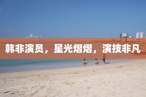 韩非演员，星光熠熠，演技非凡