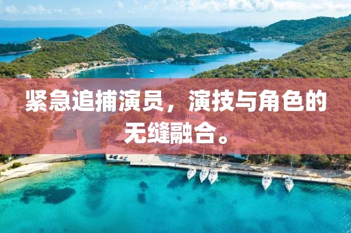 紧急追捕演员，演技与角色的无缝融合。