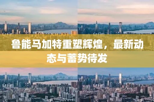鲁能马加特重塑辉煌，最新动态与蓄势待发