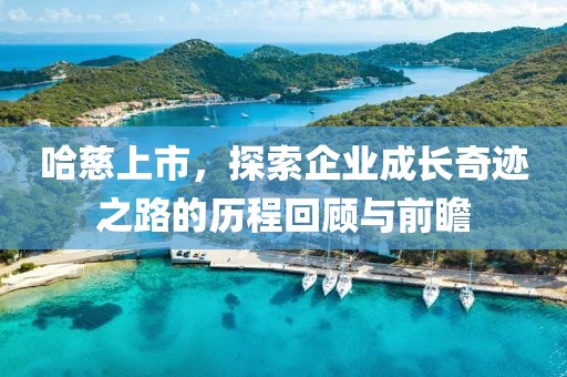 哈慈上市，探索企业成长奇迹之路的历程回顾与前瞻