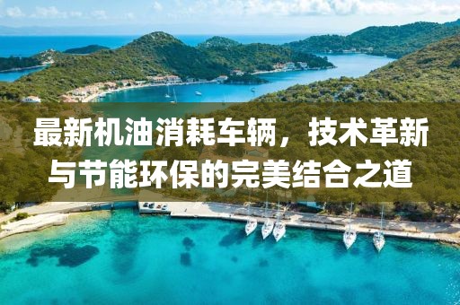 最新机油消耗车辆，技术革新与节能环保的完美结合之道