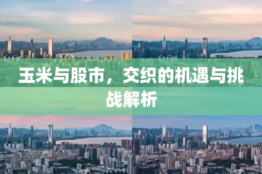 玉米与股市，交织的机遇与挑战解析