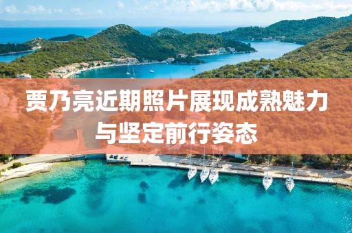 贾乃亮近期照片展现成熟魅力与坚定前行姿态