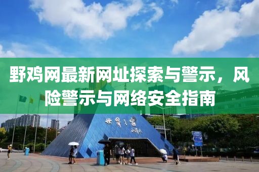 野鸡网最新网址探索与警示，风险警示与网络安全指南