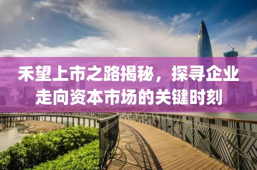 禾望上市之路揭秘，探寻企业走向资本市场的关键时刻