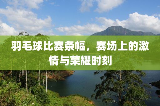 羽毛球比赛条幅，赛场上的激情与荣耀时刻