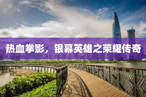 热血拳影，银幕英雄之荣耀传奇