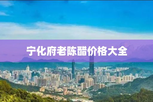 宁化府老陈醋价格大全