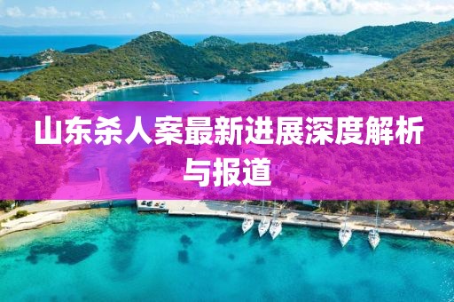山东杀人案最新进展深度解析与报道