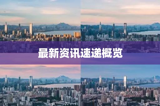 最新资讯速递概览