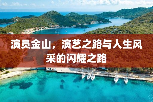 演员金山，演艺之路与人生风采的闪耀之路