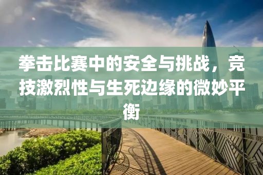 拳击比赛中的安全与挑战，竞技激烈性与生死边缘的微妙平衡