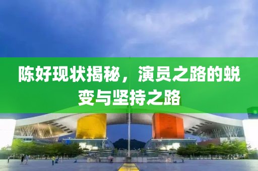 陈好现状揭秘，演员之路的蜕变与坚持之路