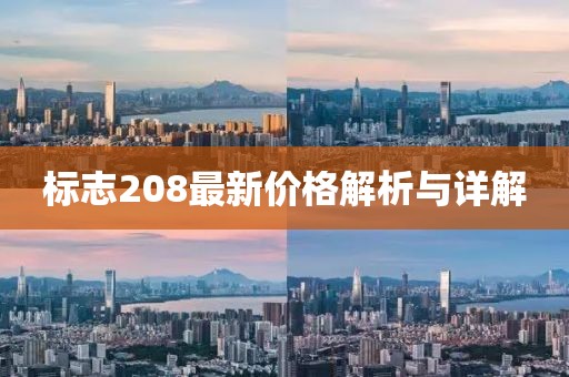 标志208最新价格解析与详解