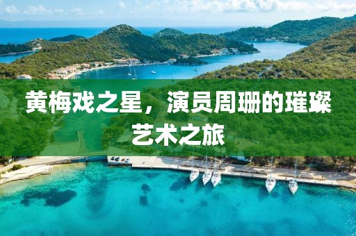 黄梅戏之星，演员周珊的璀璨艺术之旅