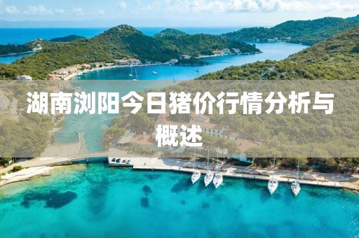 湖南浏阳今日猪价行情分析与概述