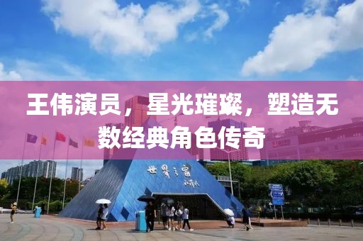 王伟演员，星光璀璨，塑造无数经典角色传奇