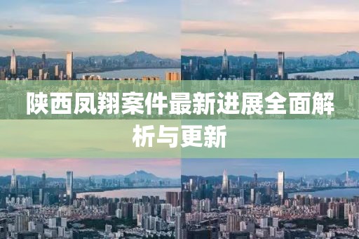 陕西凤翔案件最新进展全面解析与更新