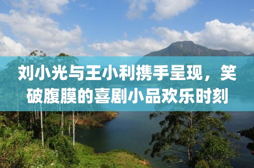 刘小光与王小利携手呈现，笑破腹膜的喜剧小品欢乐时刻